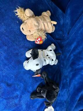 Dotty (tm) Ty Inc (r) Nebraska 2000 (r) the Beanie Babies/teenies Collection (tm